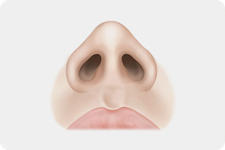 날렵하고 균형잡힌 코 모양 완성